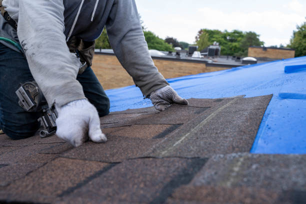 Best Roof Gutter Cleaning  in Henderson, KY